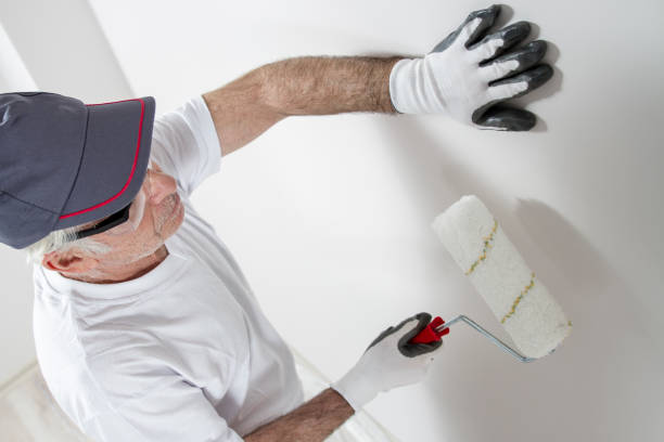 Best Biohazard Mold Removal  in West Bend, WI